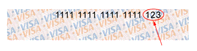 Visa Card